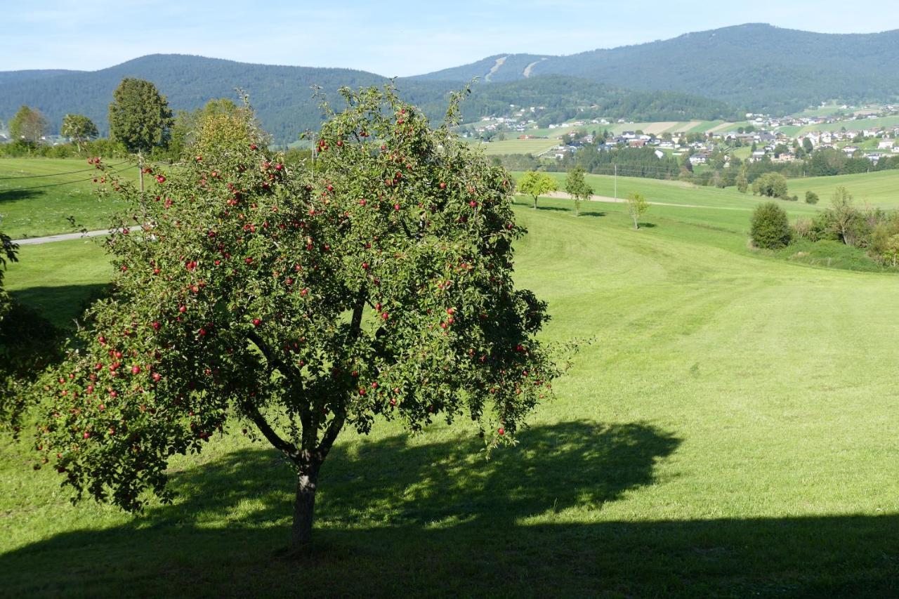 Hochfichtblick Apartments Ulrichsberg Eksteriør bilde