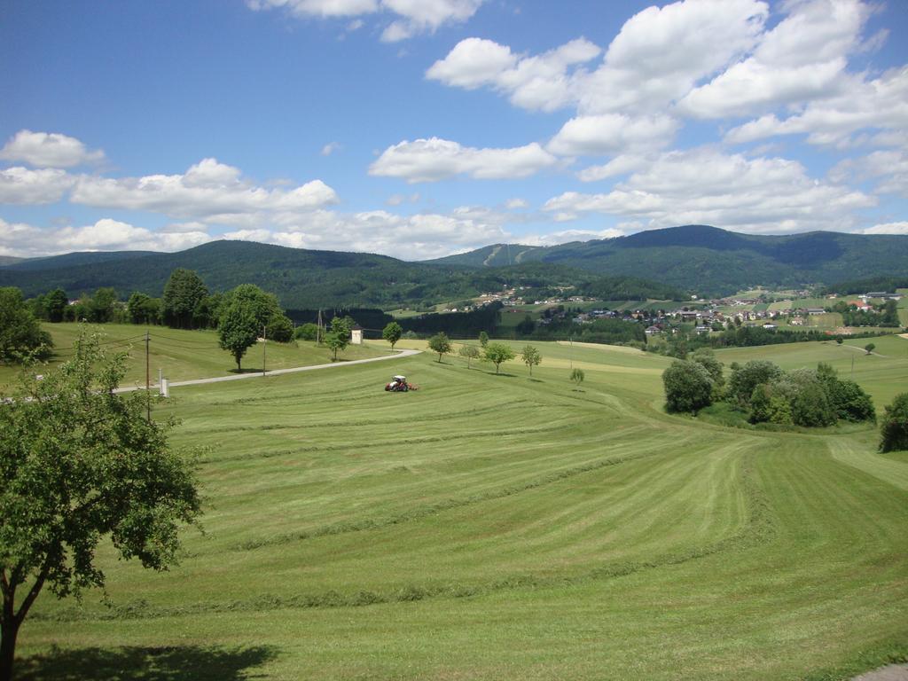 Hochfichtblick Apartments Ulrichsberg Eksteriør bilde